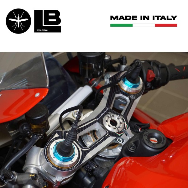 Placa de horquilla de dirección 3D adhesiva compatible con Ducati Panigale V4 2018-2024