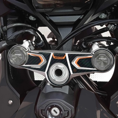 Adhesivo Protección horquilla moto compatible con Honda Cbr 650 r