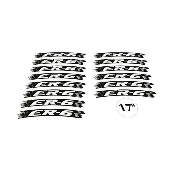 KIT ADHESIVO compatible con 17 LLANTAS MOTO KAWASAKI ER6N ER6F AMARILLO FLUO