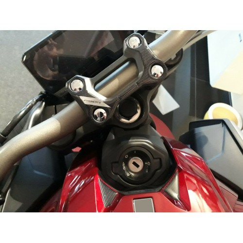                                             ΠΡΟΣΤΑΣΙΑ ΠΛΑΤΗΣ ΠΙΝΑΚΑΣ ΔΙΠΛΟΥ + ΚΛΕΙΔΙ CB 650 R συμβατό για HONDA CB650R
                                          
