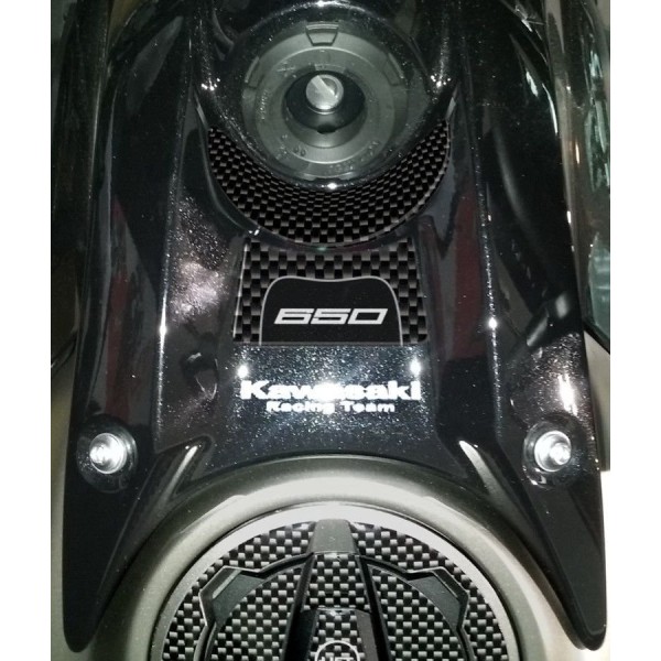 KIT 3D RESIN ADHESIVE PROTECTIONS συμβατό για μοτοσικλέτες NINJA 650 KAWASAKI carbon