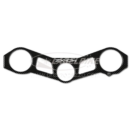 3D τζελ προστασίας πλάκα πιρουνιού συμβατή MOTORBIKE KAWASAKI ZX-10R 2011-2015