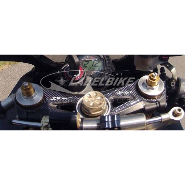 3D τζελ προστασίας πλάκα πιρουνιού συμβατή MOTO KAWASAKI ZX-10R 2004-2005