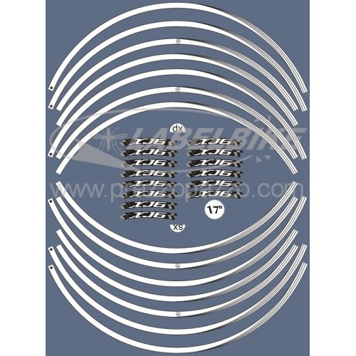 ADHESIVOS compatibles para LLANTAS YAMAHA XJ6 17 pegatinas tuning Blanco 2