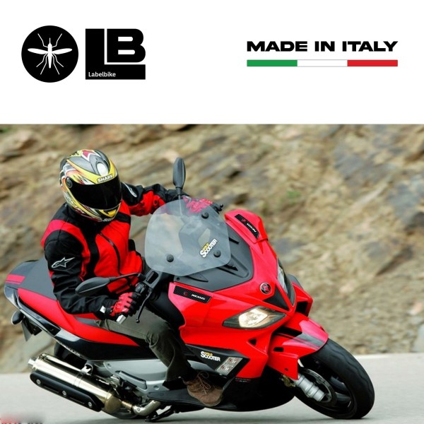 CAPOTS DE MIROIR 2 ADHESIVES 3D GEL RESINEES compatibles avec les scooters GILERA NEXUS