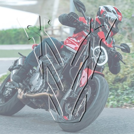 ΔΙΑΦΑΝΕΙΣ DUCATI MONSTER 696 3D ΑΝΤΙΚΑΤΑΣΤΑΣΕΙΣ για μοτοσικλέτες