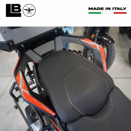 Pegatinas 3D Protectores de asas de maletero compatibles con Morbidelli T1002VX 2025