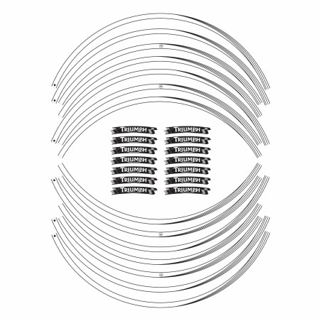 Compatible adhesive strips for Triumph motorbike rim stickers 17 tuning stickers