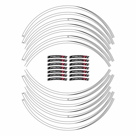Motorbike adhesive stripes kit compatible BMW F900R wheel tuning stickers 17' F900 R