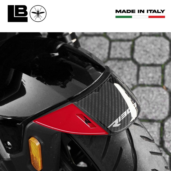 Resin 3D Protection Sticker for Motorcycle Mudguard compatible with BMW R1300R