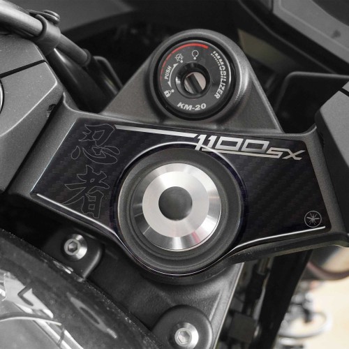                             Aufkleber 3D Gabelplattenschutz kompatibel mit Kawasaki Ninja 1100SX
                          