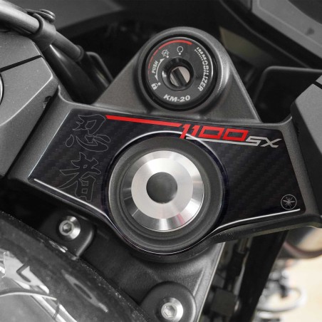 Adesivo 3D Protezione piastra forcella compatibile con Kawasaki Ninja 1100SX