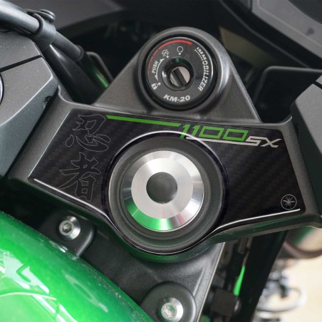 Pegatina 3D Protección de la placa de horquilla compatible con Kawasaki Ninja 1100SX