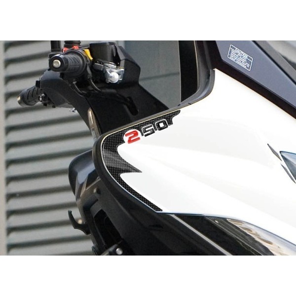2 ADHESIVOS 3D GEL SPIDER PROTECTION compatible para scooter kymco XCITING 250