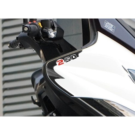 2 3D GEL ADHESIVES SPIDER PROTECTION kompatibel für kymco XCITING 250 Motorroller